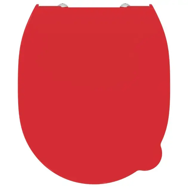 1c5d0d2531f741ca202fa4f8size960webp.webp