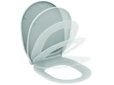 fd0e9209b978c7a4ad60777csize960webp.webp